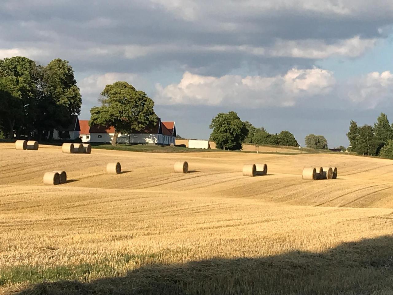 Karlsborg Rum Och Frukost Ystad Esterno foto